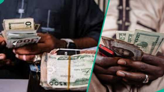 N1,356/$: Naira opens week stronger against US dollar in FX markets