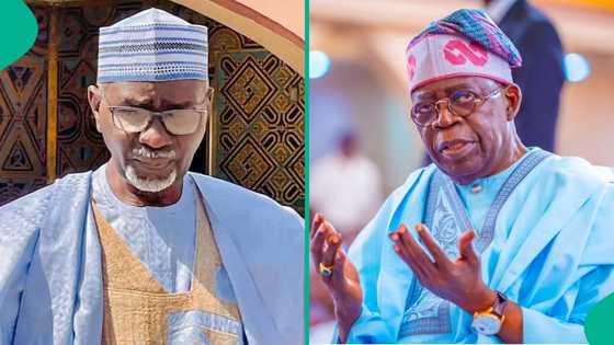 Tinubu ya aika sakon taya murna ga tsohon gwamnan Kano, Malam Ibrahim Shekarau