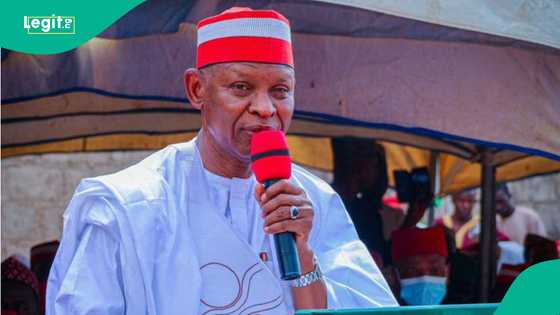 Hoodlums raid Kano public schools, steal windows, doors, and equipment