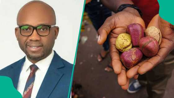 FG frowns against export of unprocessed raw materials, says investors must process locally