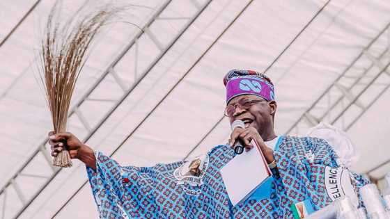 2023: Youth group calls on Bola Tinubu to run for president
