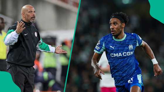 Eric Chelle prepares for World Cup playoff vs Gabon, watches Aubameyang in UCL