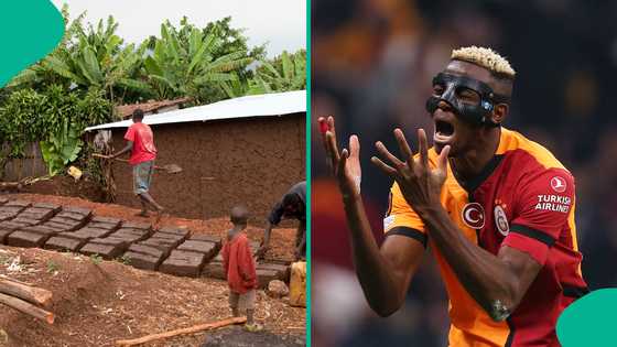 Victor Osimhen called out in viral video as old men in Edo claim he abandoned family