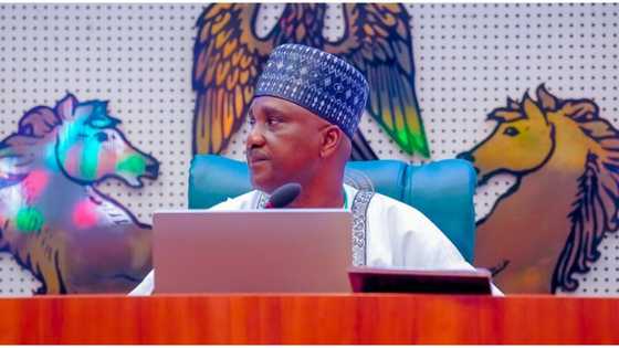Speaker unveils Reps committees, names Abdullahi, Agbodike, others as chairmen