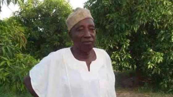 Sabo Nanono: Abinda ya kamata ku sani game da zababen Ministan Buhari daga Jihar Kano