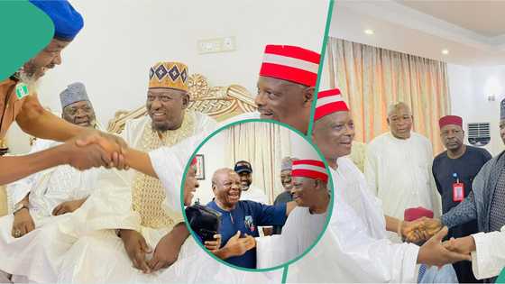 Kano: Jiga jigan Najeriya sun hallara domin auren ƴar Kwankwaso da ɗan Mangal