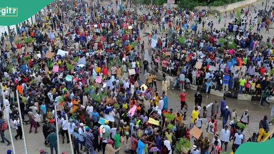 Tension as security operative guns down hunger protester in Bauchi