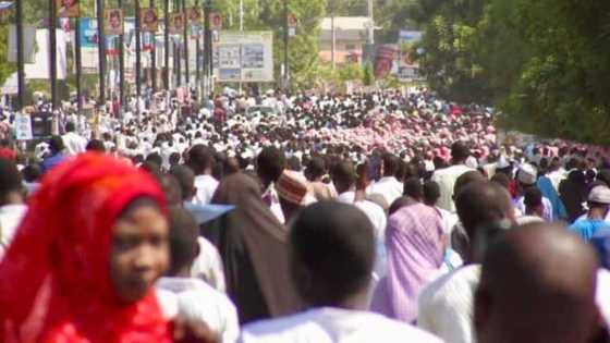 Alhamdulillah: An yi bikin karamar sallah cikin kwanciyar hankali a garin Maiduguri