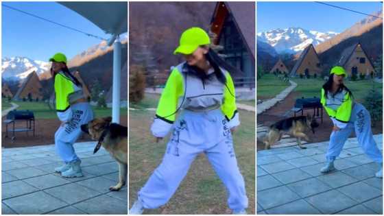 Best team ever: Lady shows off amazing dance moves, dog walks around her in circles