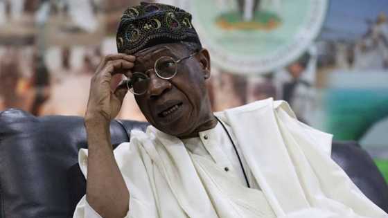 More woes for Lai Mohammed as APC suspends his supporters for dragging party to court
