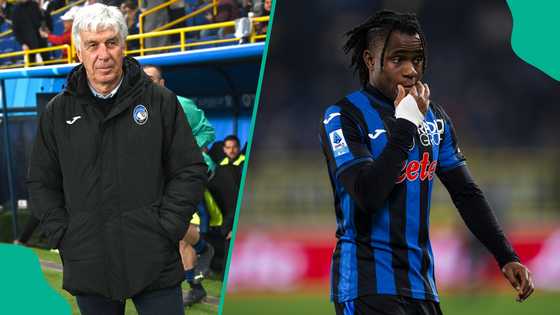 Atalanta coach speaks about his decision on Lookman amid criticism from ex-Italy star