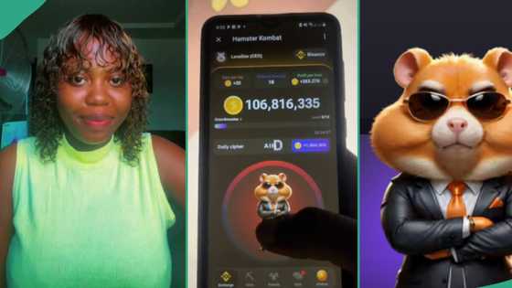 Hamster Kombat: Lady with 114 million coins shows how she cracked her daily cipher code