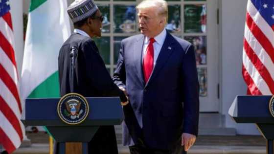 Buhari: Abinda na sanar da Trump a yayin da ya zargeni da kashe Kiristoci