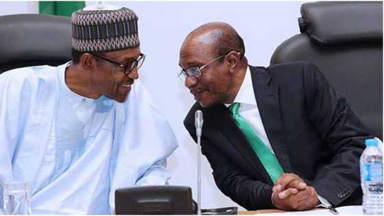 Lawmakers reach final decision on Buhari's N22.7trn CBN loan request, repayment will take 40 years