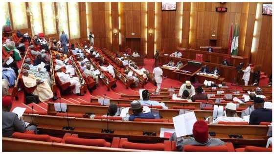 2023: APC hit with wave of defection as more senators stake political future on PDP, NNPP, others