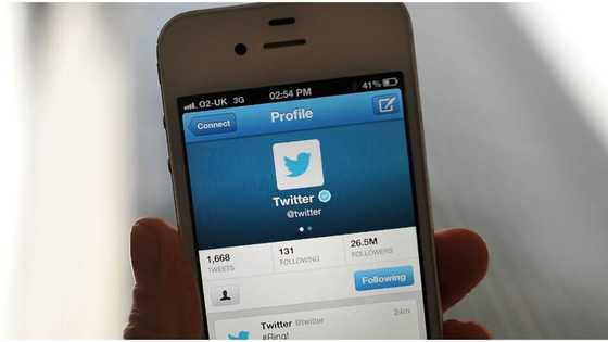 N388.77 billion loss: Four Nigerian businesses affected by Twitter ban