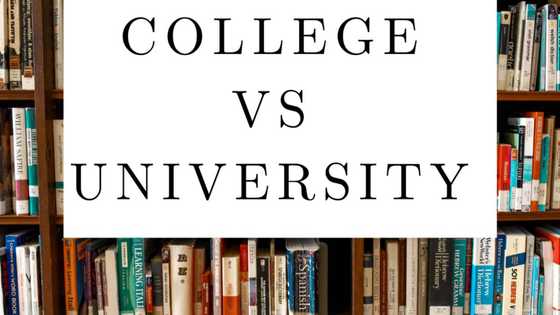 College vs university: what is the difference and which one to use?