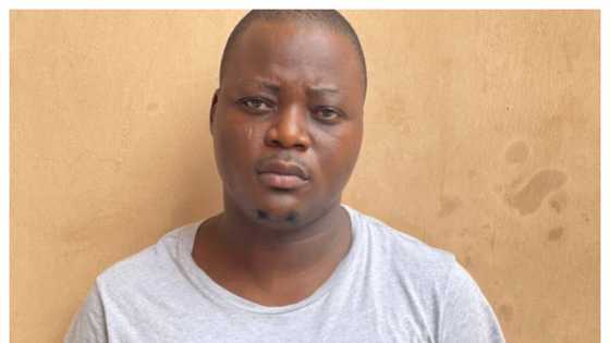 Photos emerge as popular Nigerian is finally extradited to US over fraud