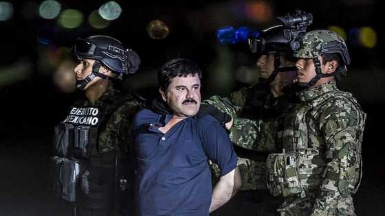 El Chapo: à propos de l’ascension et la chute de Joaquín Guzmán