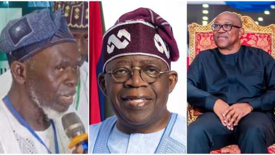 Tinubu: Is Apapa, Abure's fight threat to Peter Obi's anticipated victory in court? Details emerge