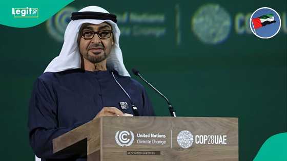 UAE publishes 9 business activities foreigners cannot fully own in the country