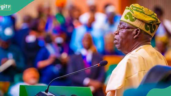 Yoruba Council raises 2 major concerns as senate passes 2025 budget