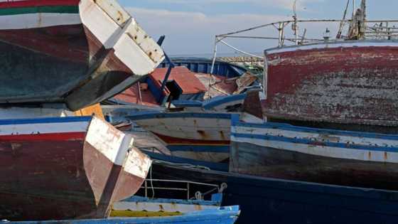 Tunisia 'rescues' 194 migrants: coastguard