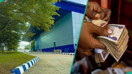 Nigerian company warns Nigerians against fake investment scheme