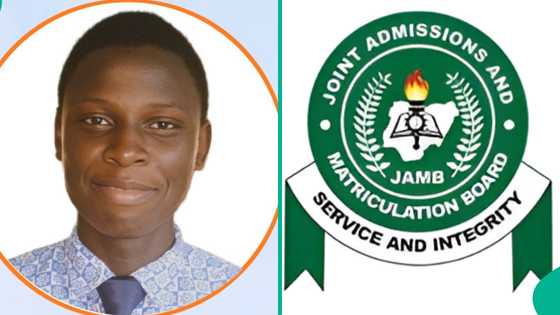 2025 UTME top scorer in Lagos school scores 370 as 15 other students get over 300, results trend