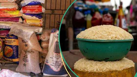 An gano dalilin faduwar farashi a shahararriyar kasuwar abinci a Kano