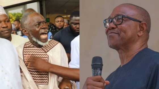 Lamidi Apapa: 'Disgraced' factional LP chair vows to expose Peter Obi after tribunal melee