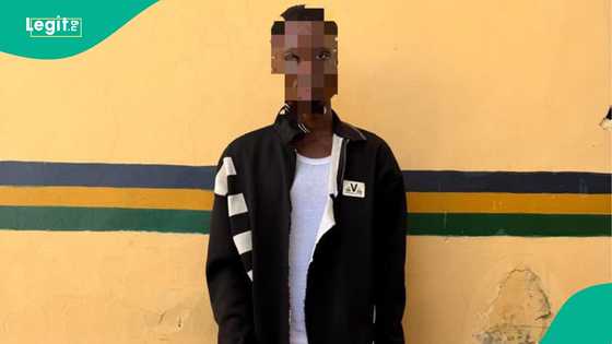 Lagos police nab 21-year-old passenger after disturbing discovery during stop-and-search operation