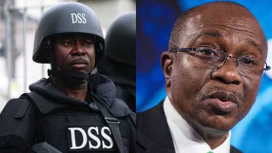 Emefiele: DSS uncovers planned campaign of calumny against FG, details emerge