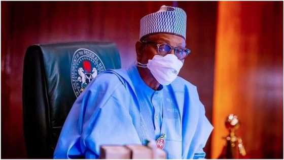 Why I closed land borders, President Buhari gives important reason