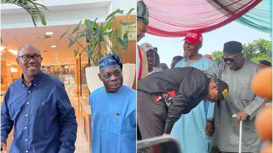 2023 presidency: Ohaneze finally gives position on Obasanjo, Adebanjo’s support for Peter Obi