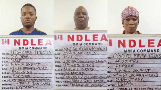 NDLEA arrests Lagos-based G.O, 2 others for attempted drug smuggling to Dubai