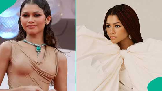 Zendaya becomes highest-grossing actor of 2026, details emerge on how much she earned so far