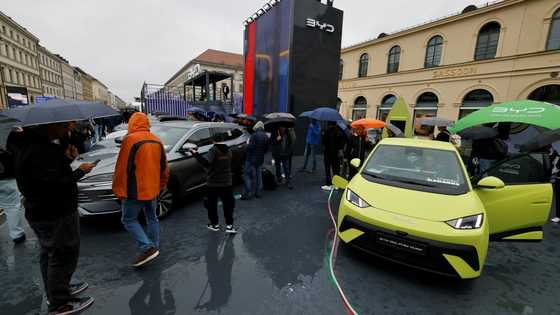 'Why not?' Europeans warming up to Chinese electric cars