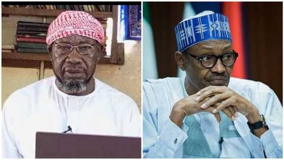 Sheikh Khalid: Buhari's aide finally breaks silence, opens up on what really led to cleric's sack