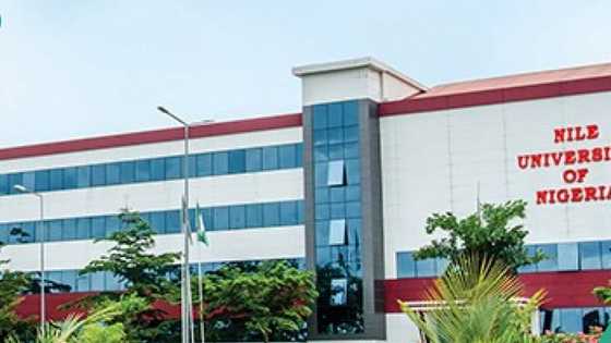 Jubilation as 84 Nile University students bag first class degrees