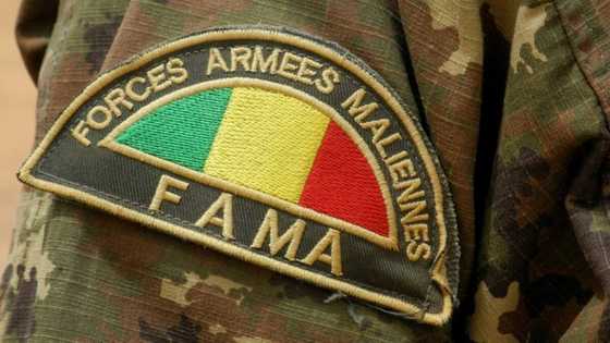 Malian and 'white' soldiers involved in 33 civilian deaths: UN experts