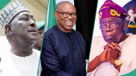 “Tinubu did not win 2023 election”: Ex-SGF Babachir drops bombshell, discloses alleged winner