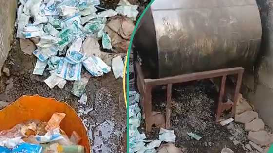 NAFDAC shuts Kaduna yoghurt depot, gives reasons for action