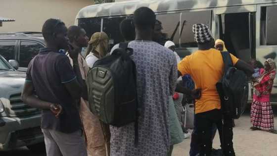 Repentant Boko Haram members, wives reportedly arrive Maiduguri from Niger (photo)