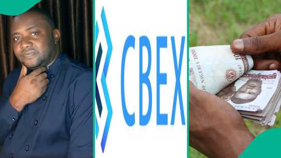 Man who predicted crash of Cbex platform in march goes viral after people ignored his warnings