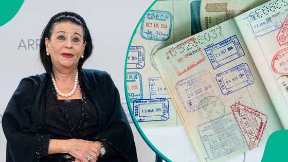 Malta publishes 5 reasons it can revoke a foreigner's long-stay visa