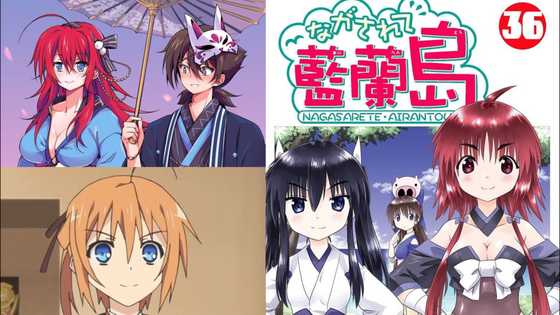 20 best harem anime series fans of the genre will know and love