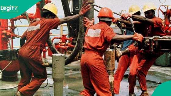 Nigerian billionaire's company promises to revive 100 oil wells in 100 days