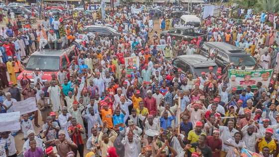 Shugabannin NNPP sun mutu wajen dawowa taron siyasa, Kwankwaso ya yi magana