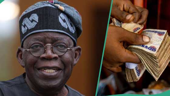 APC-led govt giving N250,000 grant to all Nigerians? Fact emerges
